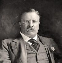 cropped-5557.jpg